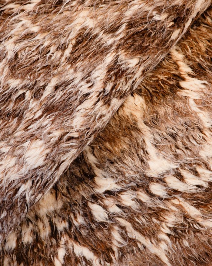 brown shaggy