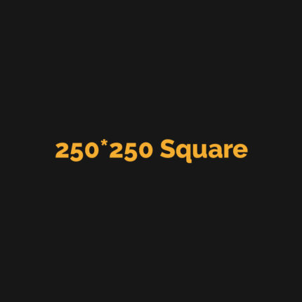 250*250S