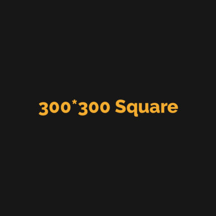 300*300S